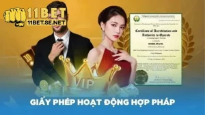 Đánh giá được độ tin cậy và hợp pháp của 11BET bằng giấy phép hoạt động